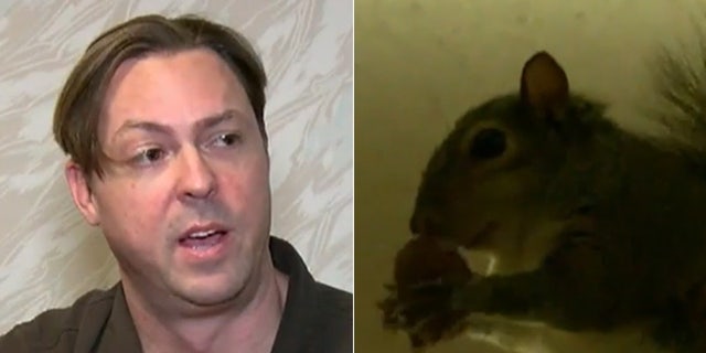 Ryan Boylan claims his squirrel Brutis is a support animal for his PTSD.